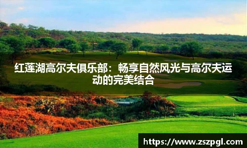mk体育注册